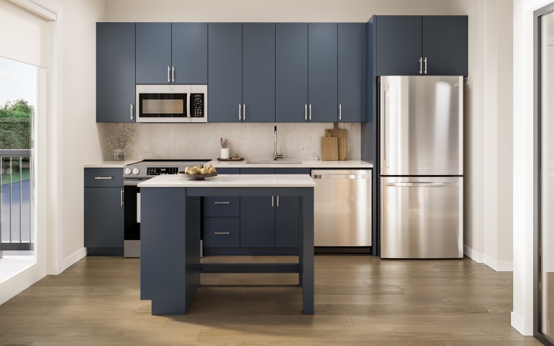 Blue Finish Scheme Kitchen